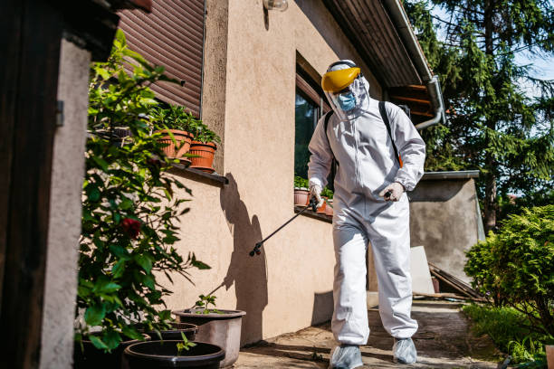 Best Insect Control  in Grove, OK
