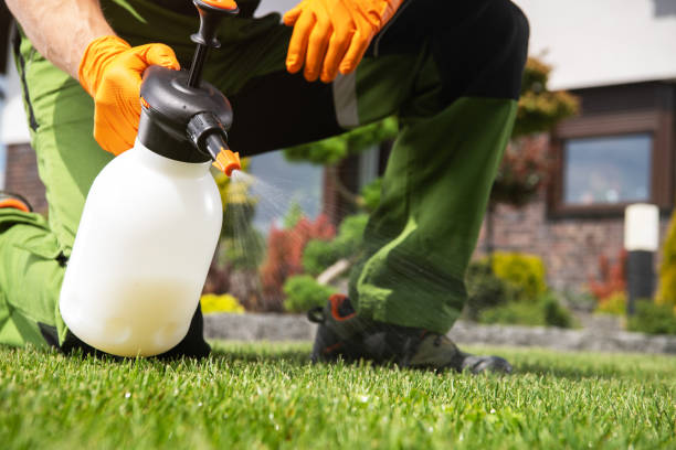 Best Best Pest Control Companies  in Grove, OK