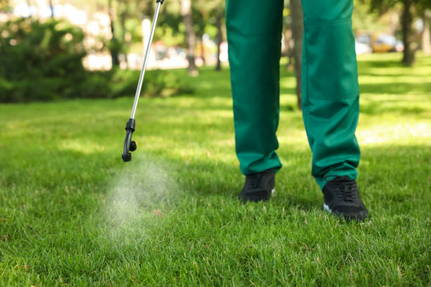 Best Pest Control Treatment  in Grove, OK
