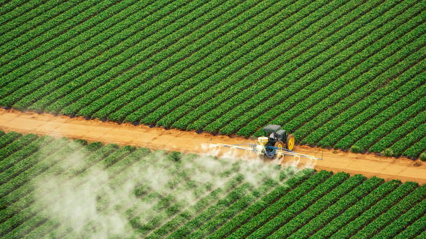 Pest Control Cost in Grove, OK