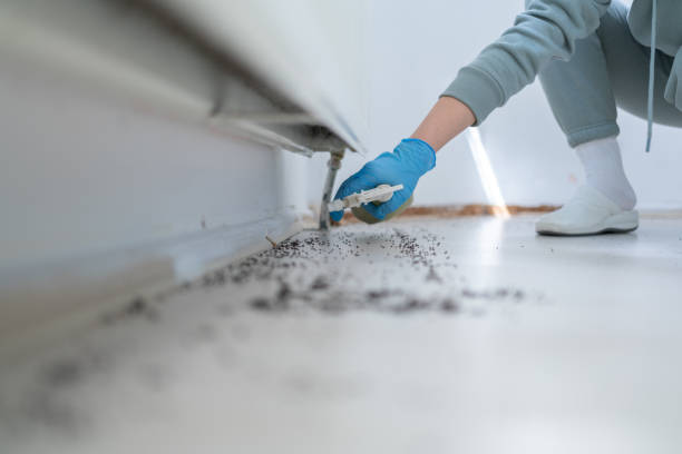 Best Pest Removal Services  in Grove, OK