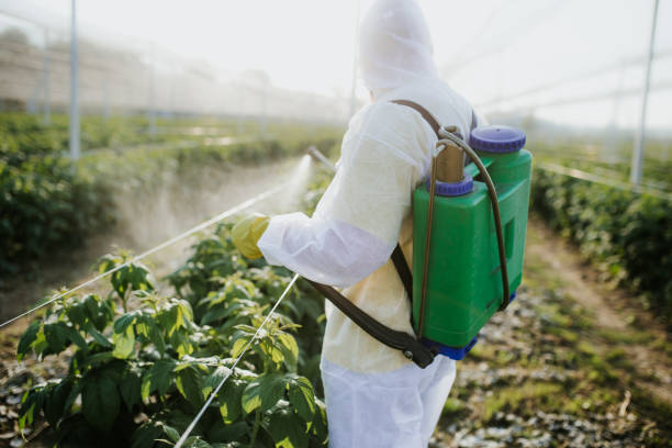 Best Local Pest Control Services  in Grove, OK
